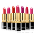 OEM cosmetics waterproof long-lasting matte lipstick